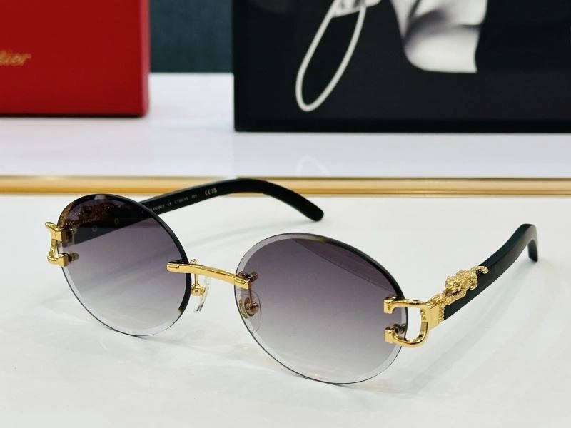 TechFriendly Cartier Sunglasses 277400