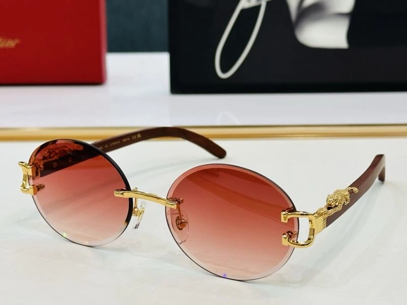 TechFriendly Cartier Sunglasses 277400