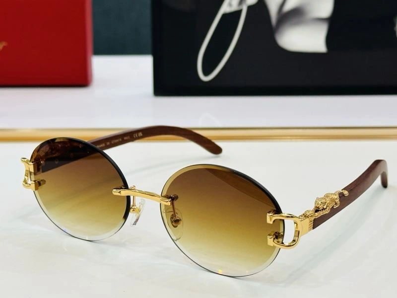TechFriendly Cartier Sunglasses 277400