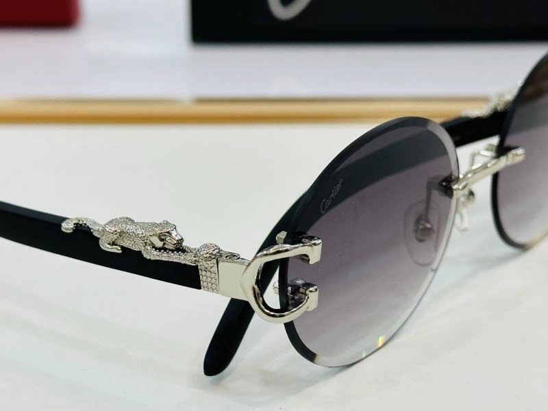 TechFriendly Cartier Sunglasses 277400