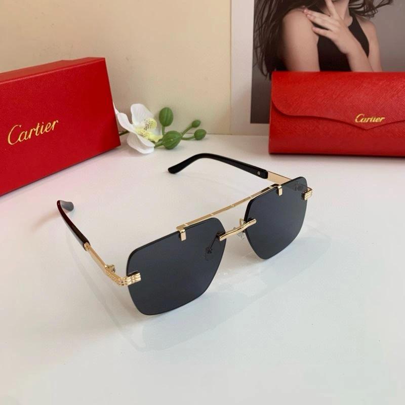 Cartier Sunglasses Functional 277389