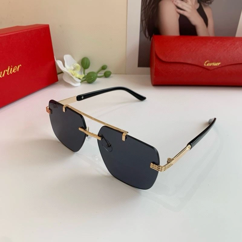 Cartier Sunglasses Functional 277389