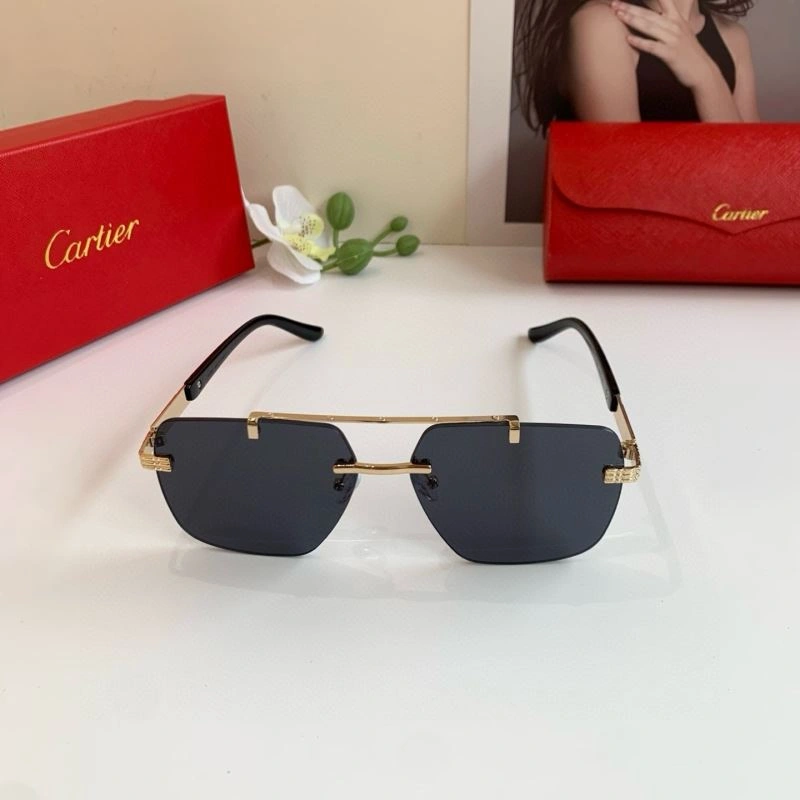 Cartier Sunglasses Functional 277389