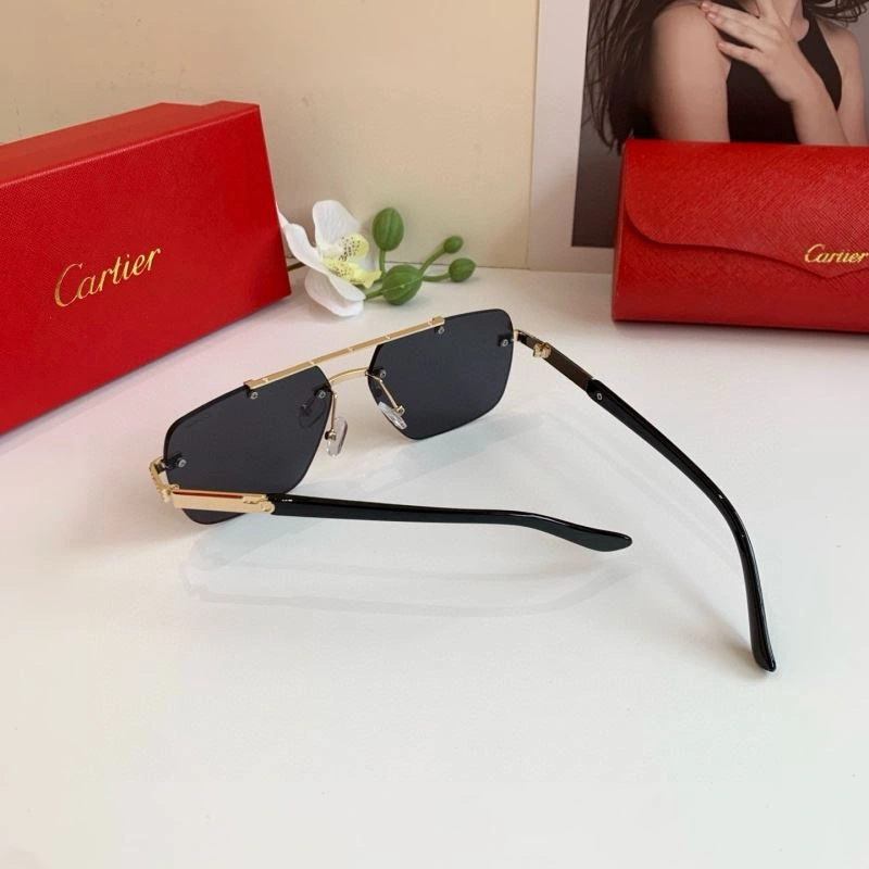 Cartier Sunglasses Functional 277389