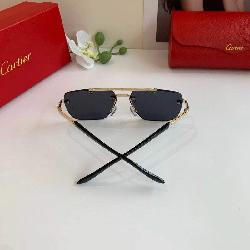 Cartier Sunglasses Functional 277389