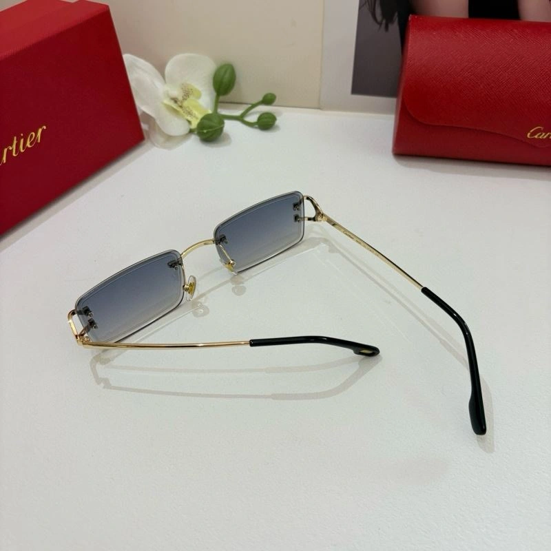 Cartier Sunglasses Effortless 277376