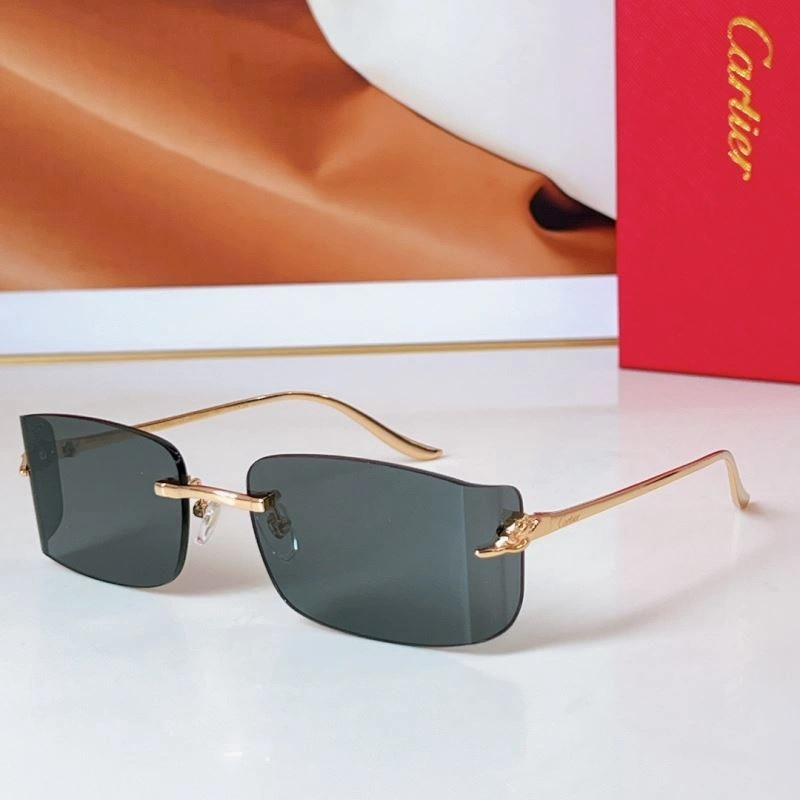Cartier Sunglasses Sporty 277373