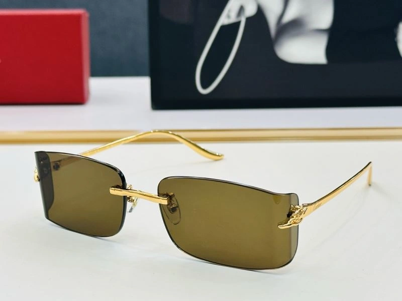 ModernLook Cartier Sunglasses 277374
