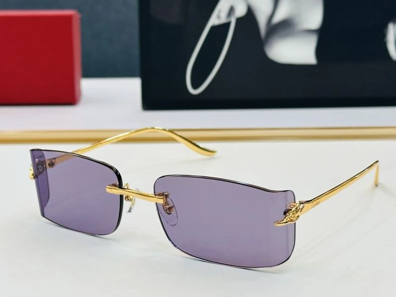 ModernLook Cartier Sunglasses 277374