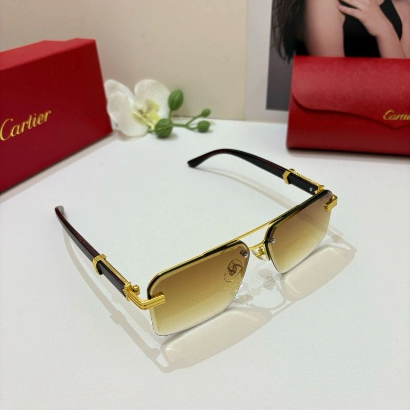 Modern Cartier Sunglasses 277370
