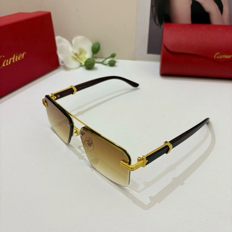 Modern Cartier Sunglasses 277370