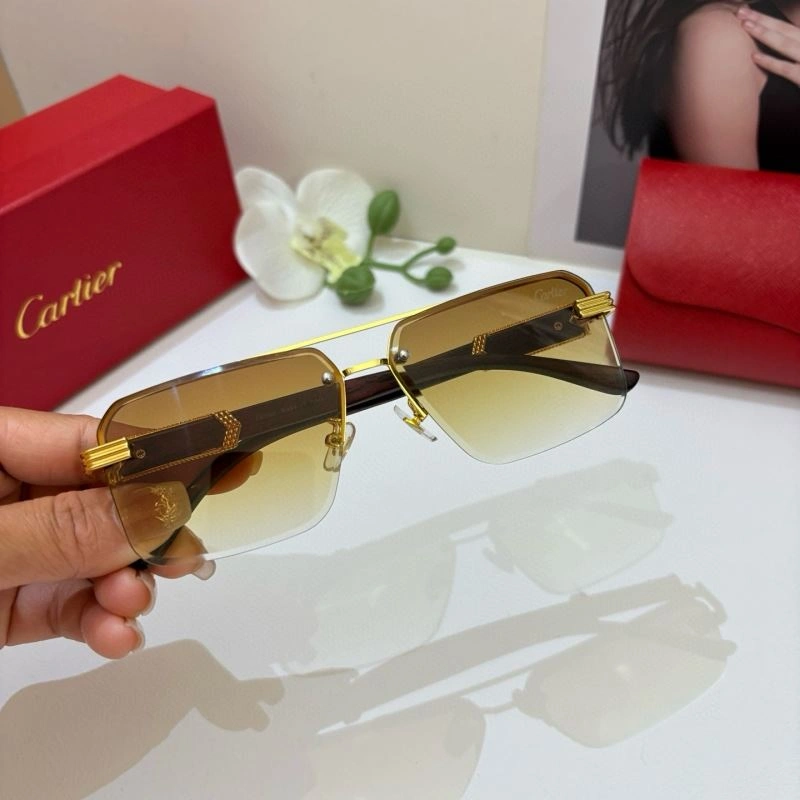 Modern Cartier Sunglasses 277370