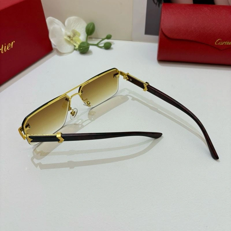 Modern Cartier Sunglasses 277370