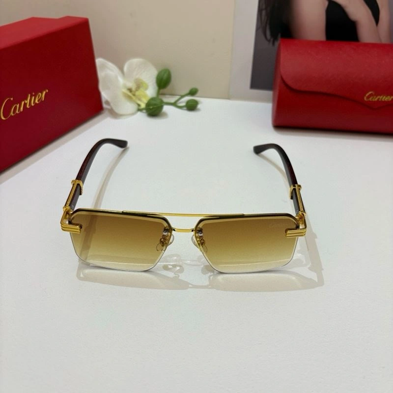 Modern Cartier Sunglasses 277370