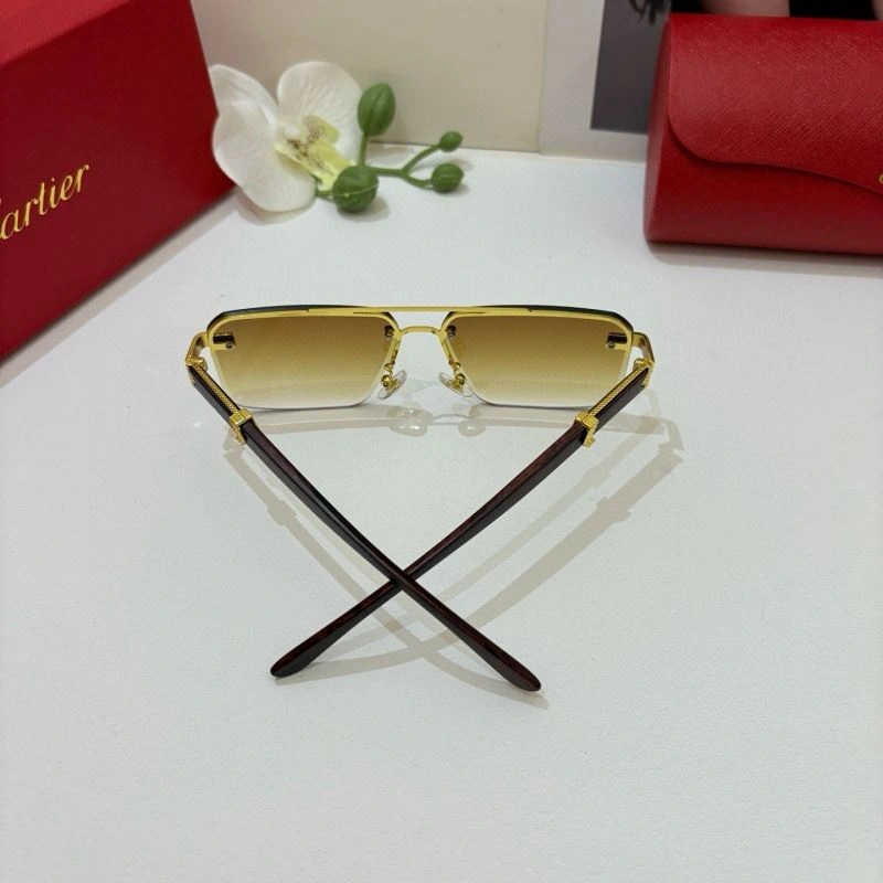 Modern Cartier Sunglasses 277370
