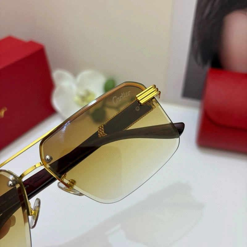 Modern Cartier Sunglasses 277370