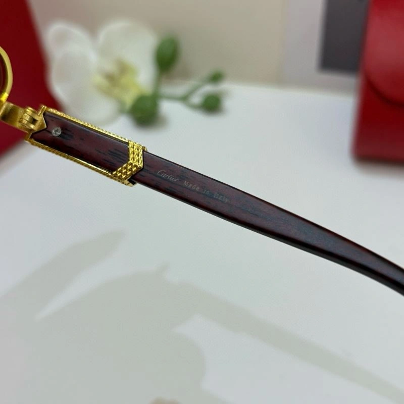 Modern Cartier Sunglasses 277370