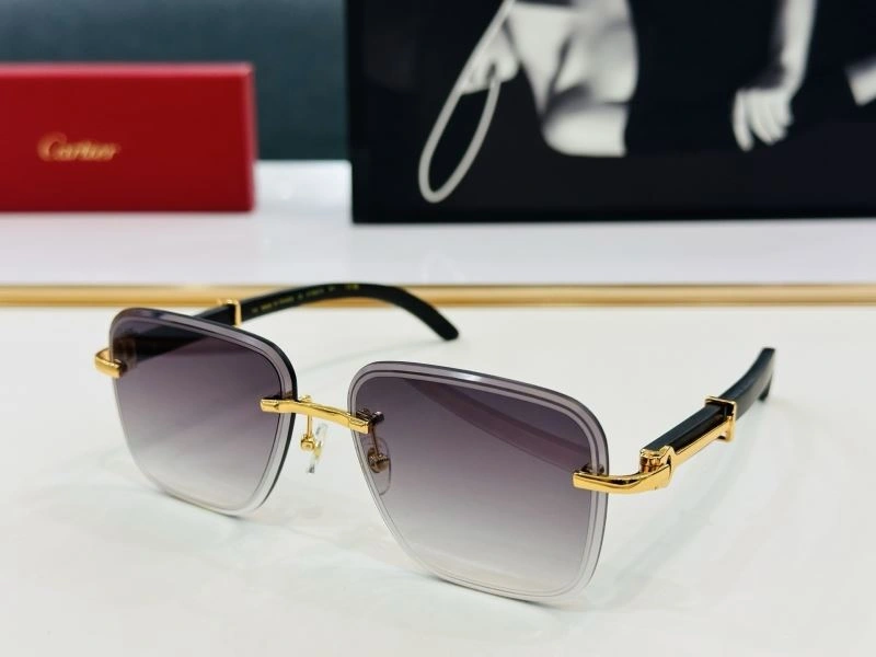 TechFriendly Cartier Sunglasses 277551