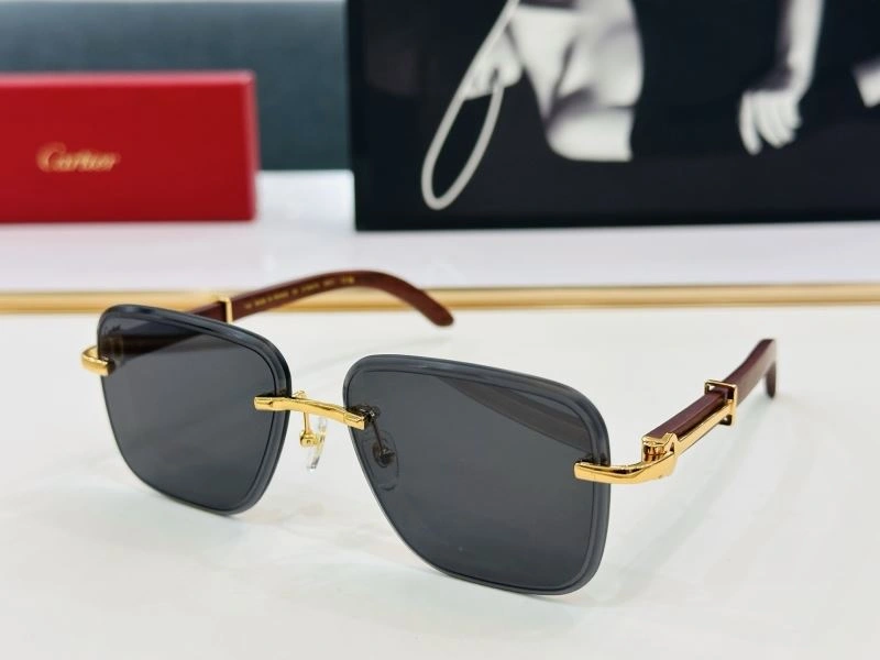 TechFriendly Cartier Sunglasses 277551
