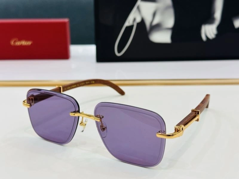 TechFriendly Cartier Sunglasses 277551