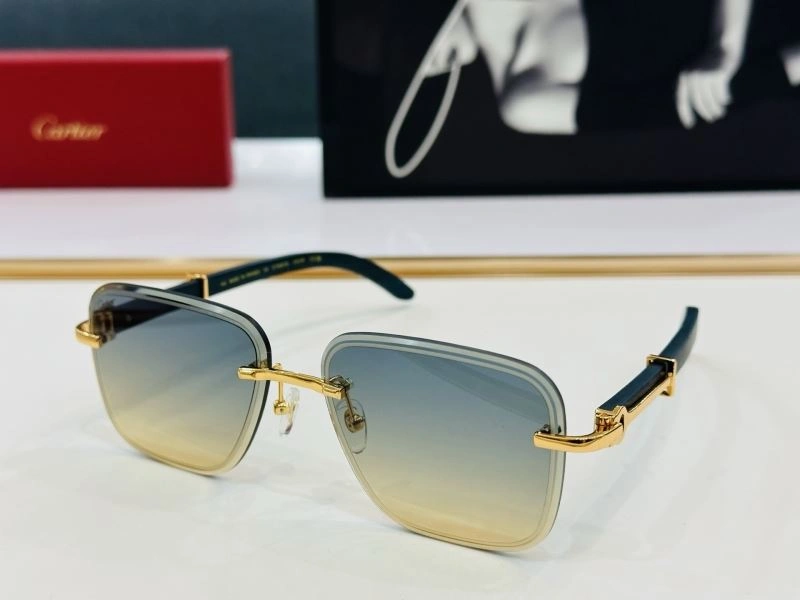 TechFriendly Cartier Sunglasses 277551