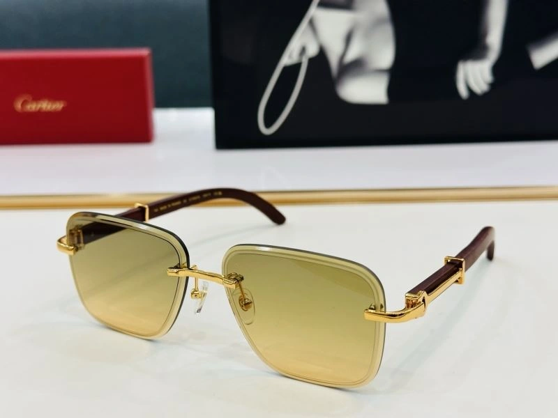 TechFriendly Cartier Sunglasses 277551