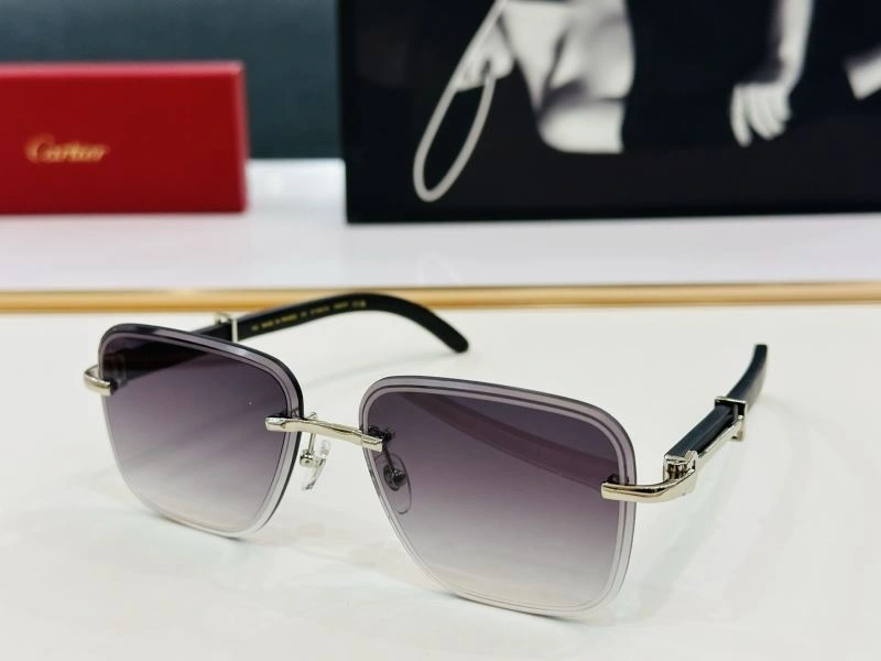 TechFriendly Cartier Sunglasses 277551