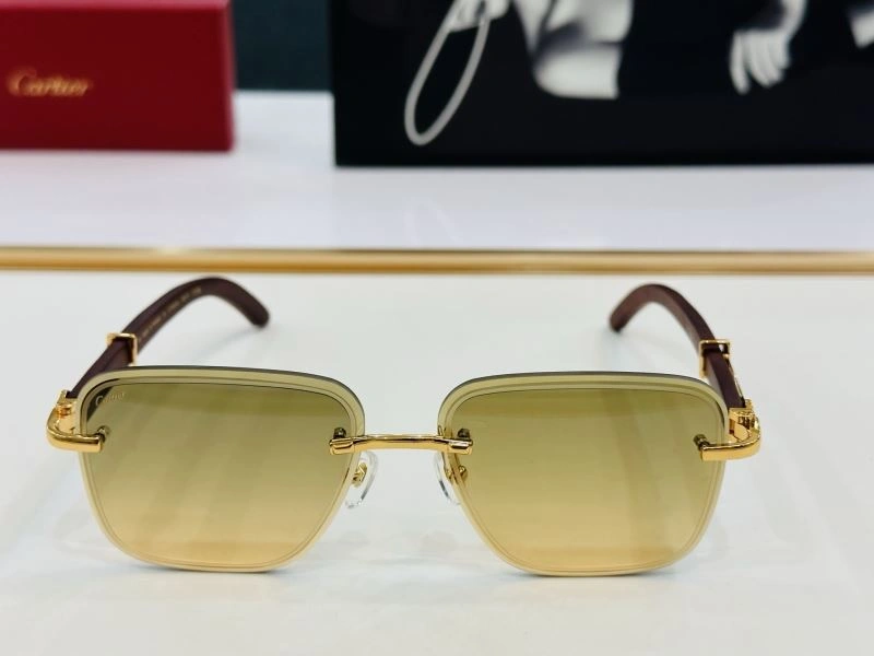TechFriendly Cartier Sunglasses 277551
