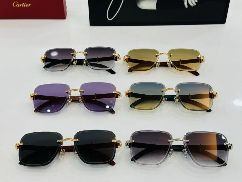 TechFriendly Cartier Sunglasses 277551