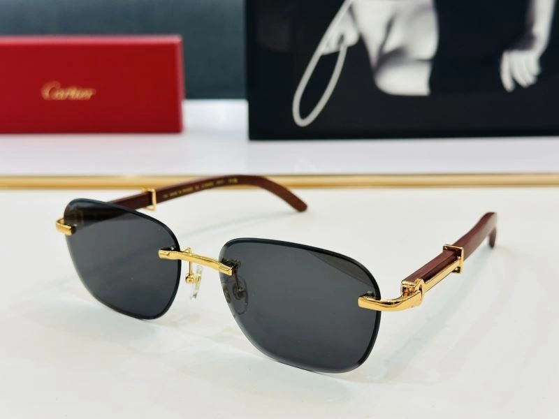 Unique Cartier Sunglasses 277561