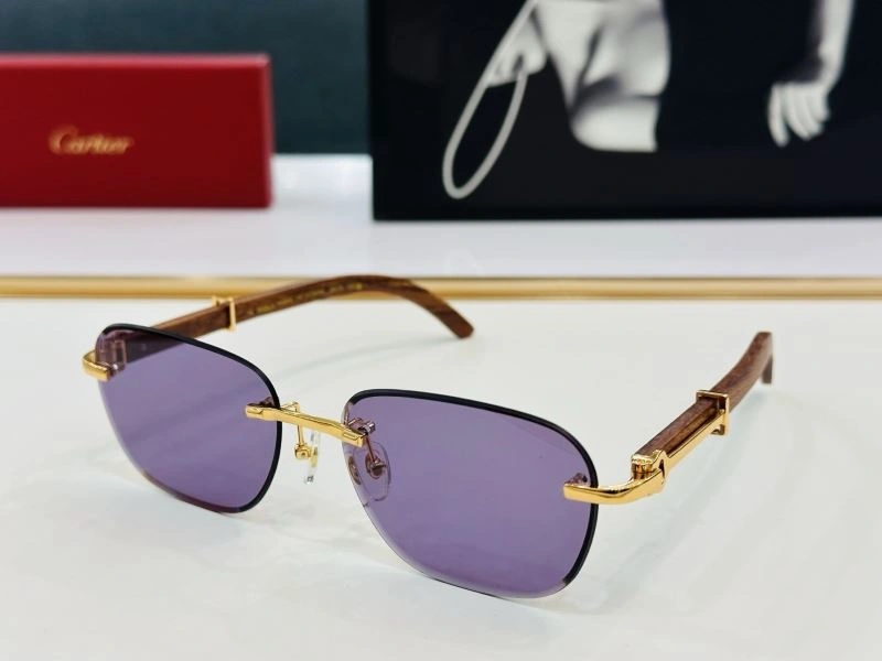 Unique Cartier Sunglasses 277561