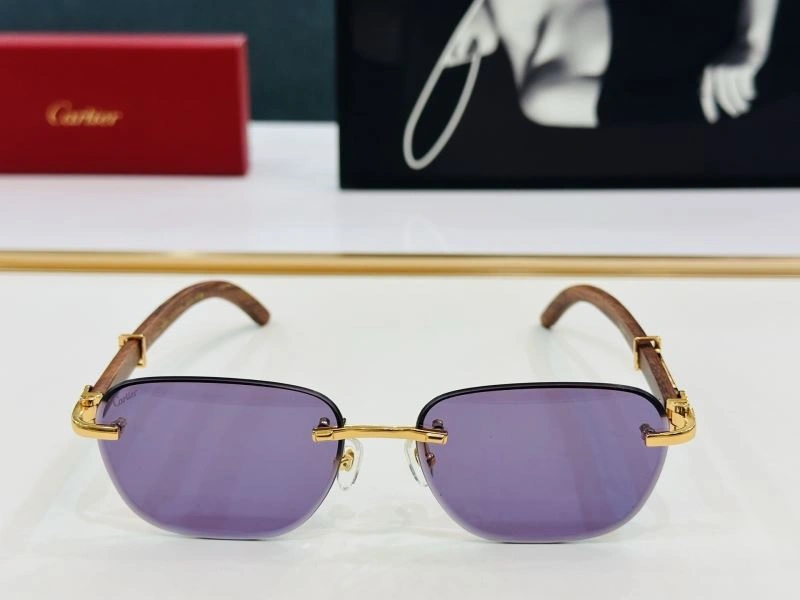 Unique Cartier Sunglasses 277561