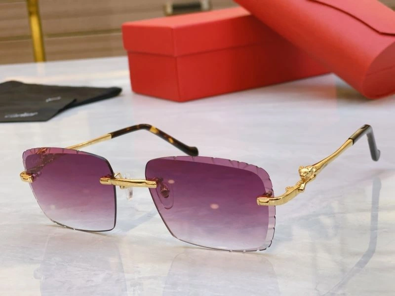 Functional Cartier Sunglasses 277559