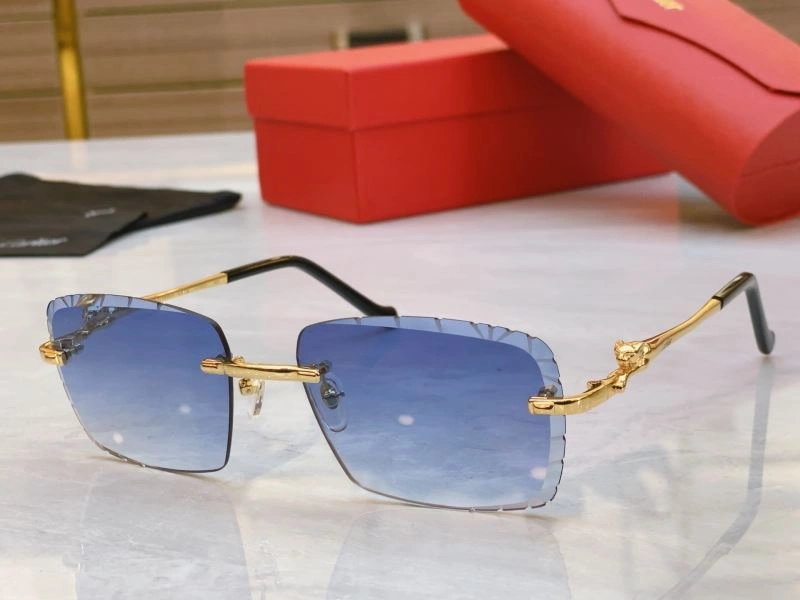 Functional Cartier Sunglasses 277559