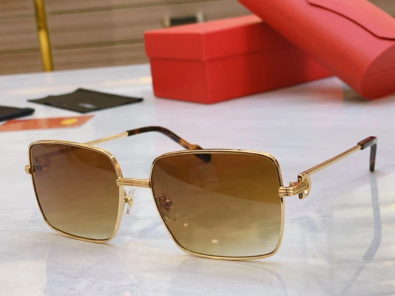 Cartier Sunglasses GoAnywhere 277562