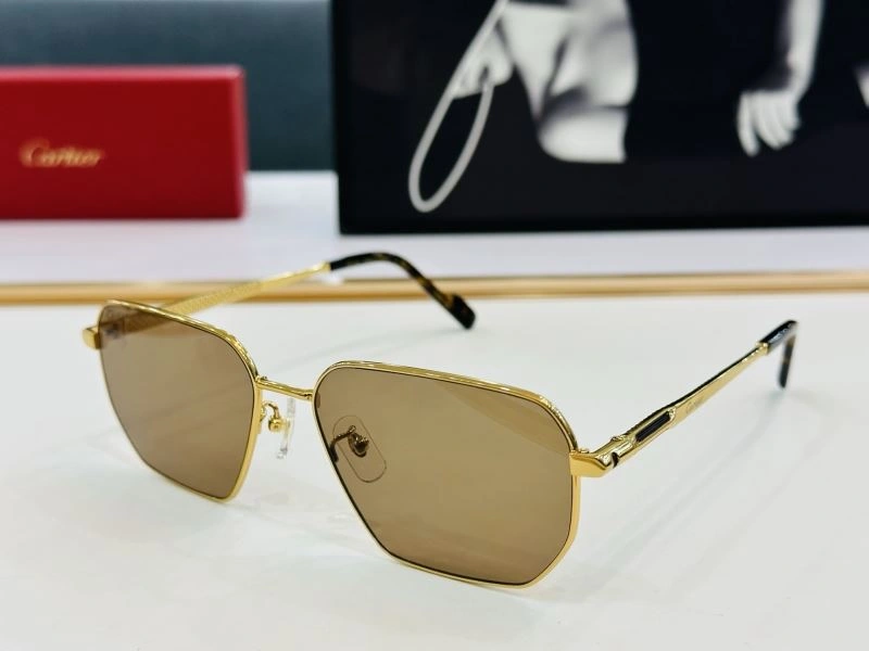 Cartier Sunglasses Seasonal 277556