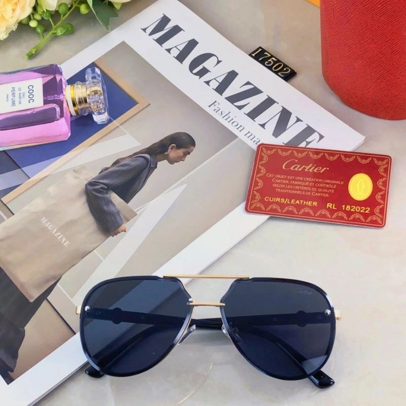 Cartier Sunglasses GoAnywhere 277543