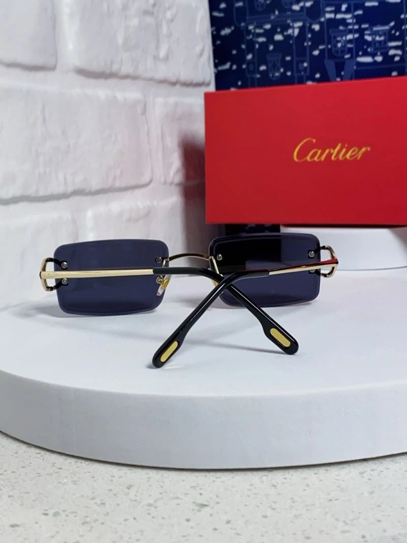 TechFriendly Cartier Sunglasses 277540