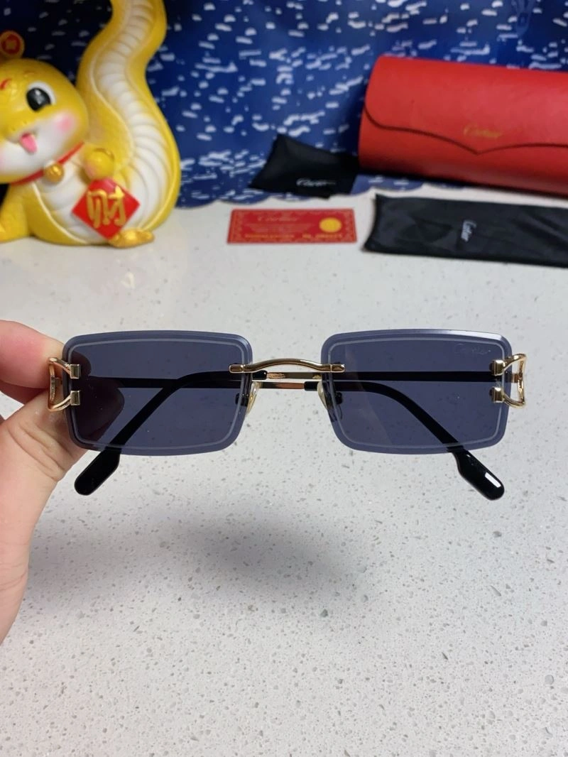 TechFriendly Cartier Sunglasses 277540