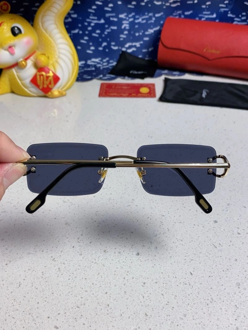 TechFriendly Cartier Sunglasses 277540
