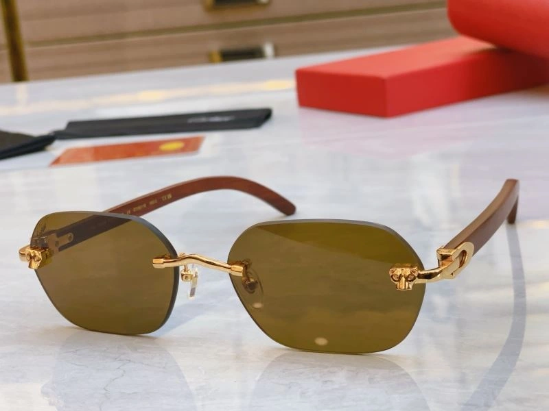 Cartier Sunglasses StreetReady 277531