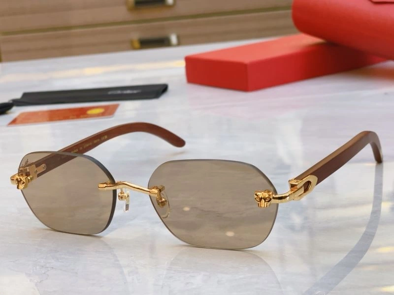 Cartier Sunglasses StreetReady 277531