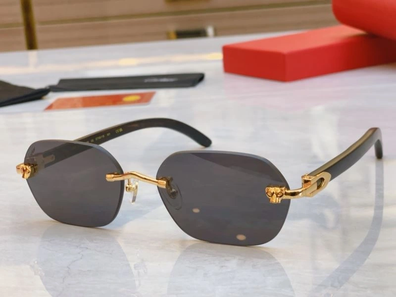 Cartier Sunglasses StreetReady 277531