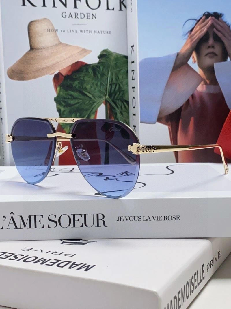 Minimalist Cartier Sunglasses 277506