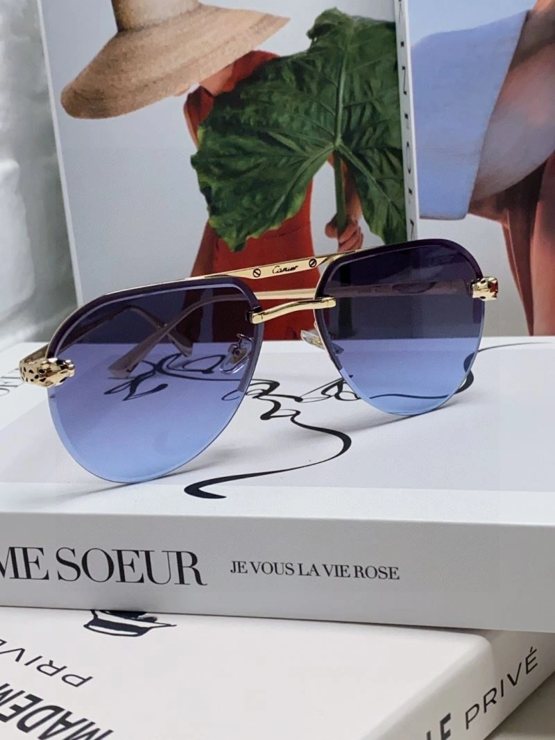 Minimalist Cartier Sunglasses 277506