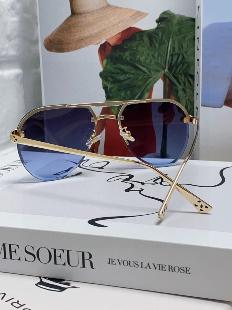 Minimalist Cartier Sunglasses 277506