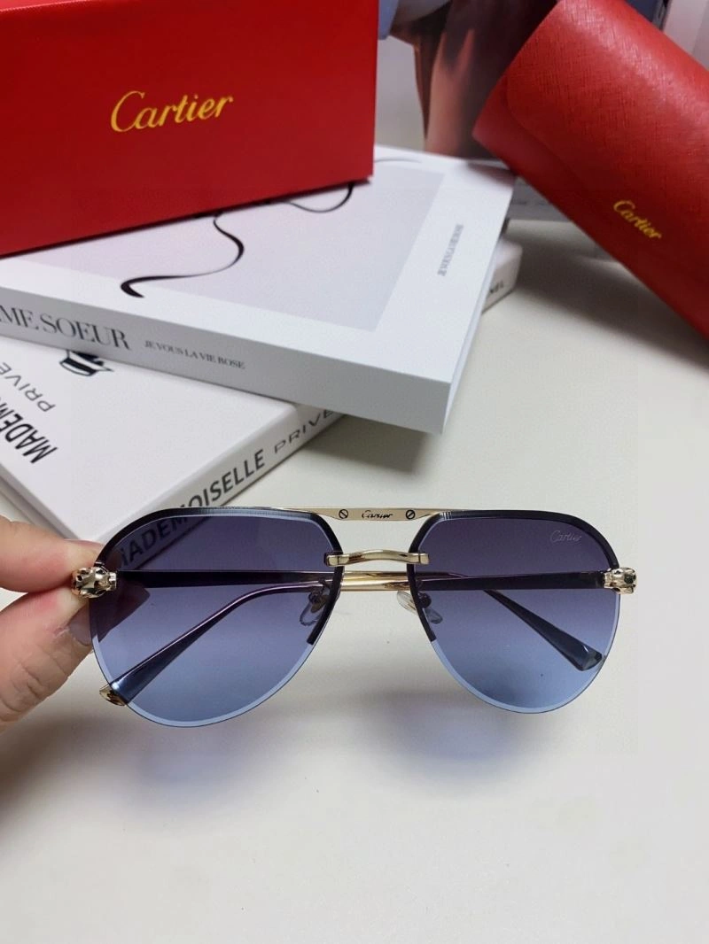 Minimalist Cartier Sunglasses 277506