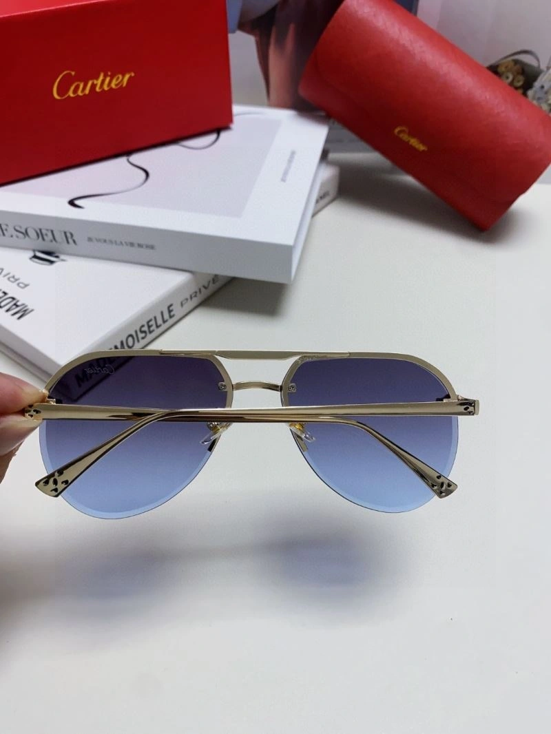 Minimalist Cartier Sunglasses 277506