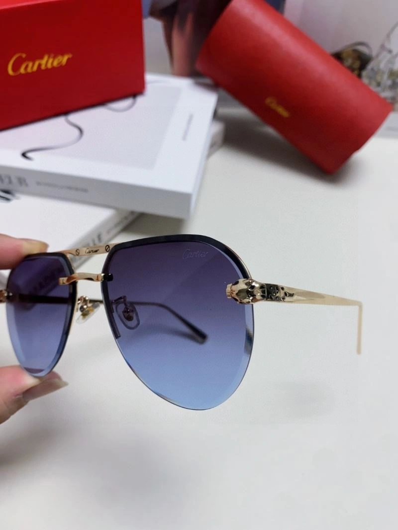 Minimalist Cartier Sunglasses 277506