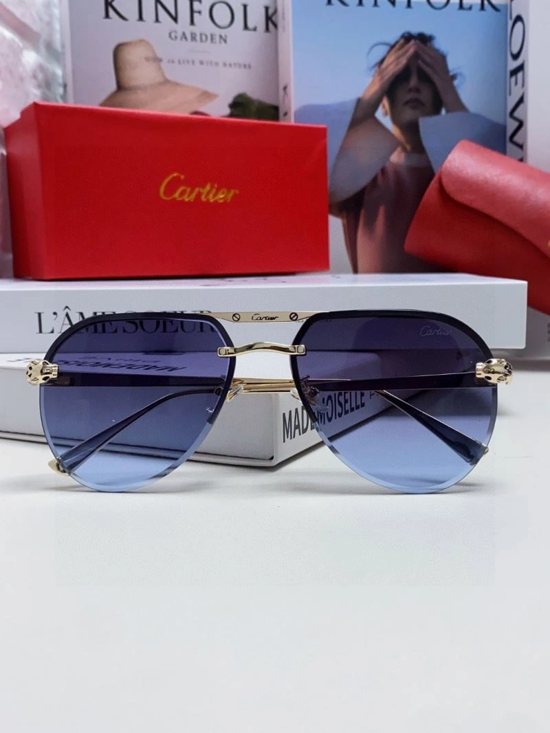 Minimalist Cartier Sunglasses 277506
